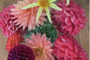 Screenshot 2024-11-14 at 10.40.25 AM